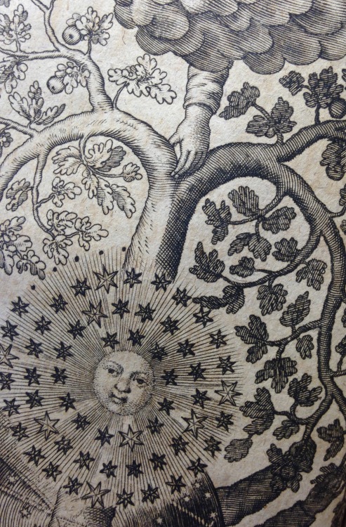 uwmspeccoll: hdslibrary: Light and Dark, Arm Branches, Star Sun and Eye Circle Engraved frontispiece