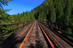 destroyed-and-abandoned:  Abandoned railroad