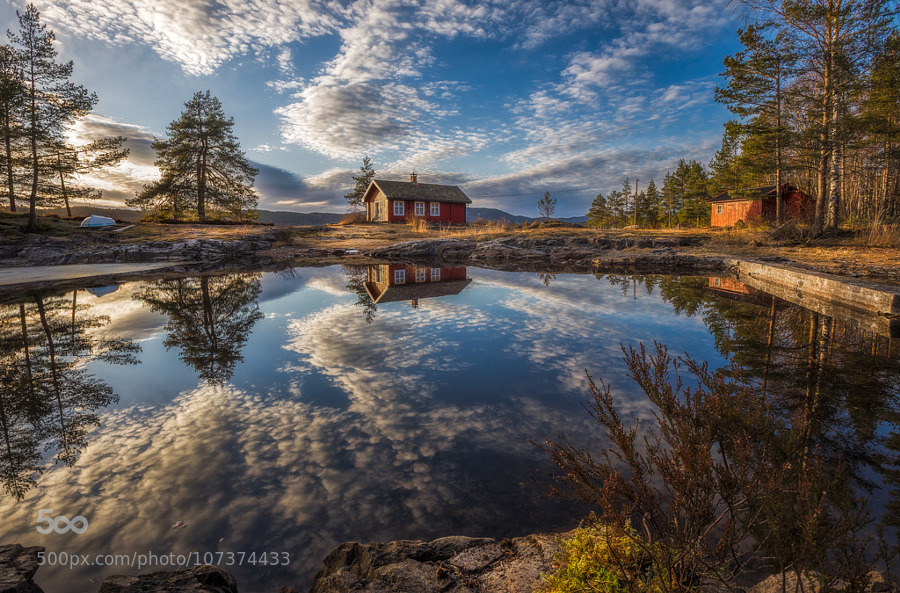 random-photos-x:  Balm for the Soul II by OleHenrikSkjelstad. (http://ift.tt/1EJs5j7)
