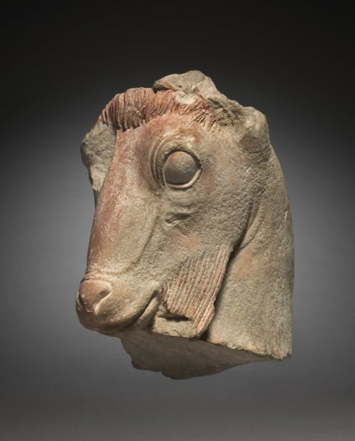 cma-greek-roman-art: Fragment of a Goat’s Head, c. 500 BC, Cleveland Museum of Art: Greek and 