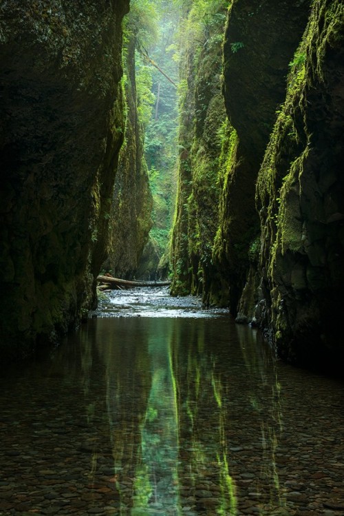 landture:  Through the Looking Glass by exploringlight