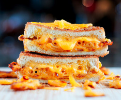 orgasmicf00ds:  Grilled Mac and Cheese sandwich!