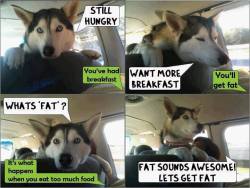 meandmybear:  Fat is awesome