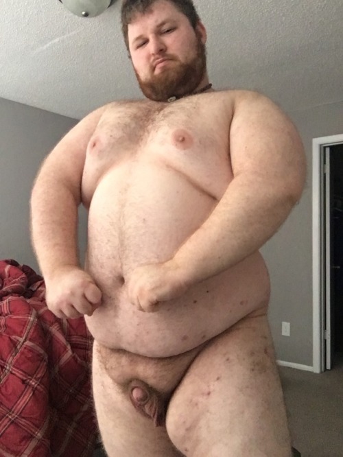 brutusthehogpup:@sonic-1234567890 hope this is to your satisfaction
