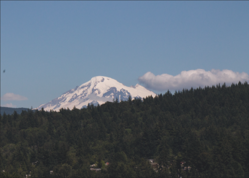 watergender:i’m really happy with the view from my new balcony