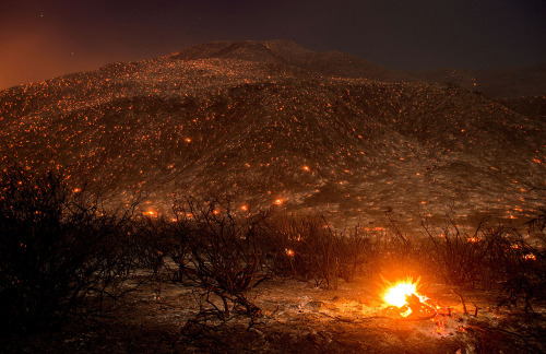 atlanticinfocus:  From Photos of the Week: 8/13-8/19, one of 35 photos. Embers from a wildfire smolder on a hill along Lytle Creek Road near Keenbrook, California, on August 17, 2016. (Noah Berger / AP)