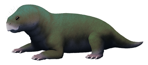 alphynix:Even before Lystrosaurus briefly took over the world, the dicynodont synapsids were a highl