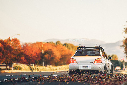 spiffynorthwest:  Dancing in the leaves