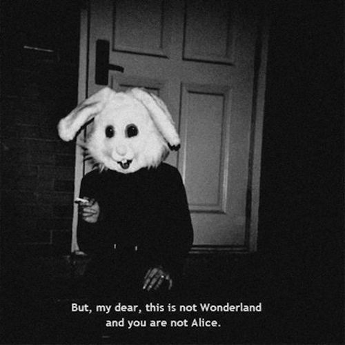 yourblackdiamond:  kbidner:  Then who am i? on We Heart It - http://weheartit.com/entry/98242793  ✝We’re not in wonderland anymore alice✝