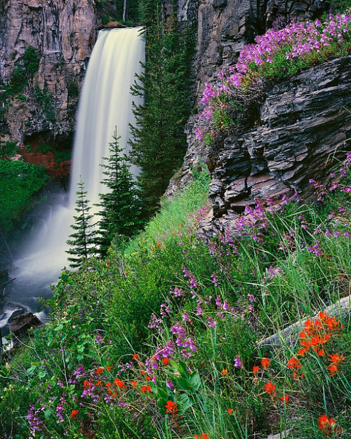 Tumalo Falls in Summer by Mike Putnam on Flickr.