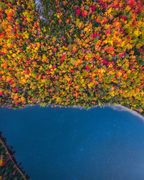 wordsnquotes:  Photographer Michael Matti and his roommate Drove Through Every State in the Northeast US to Photograph the Beauty of Autumn Keep reading  a u t u m n 