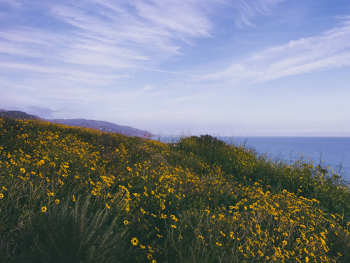 leahberman:flowersettingMalibu, Californiainstagram