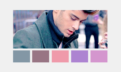 XXX :  Zayn; colour palette (insp)  photo