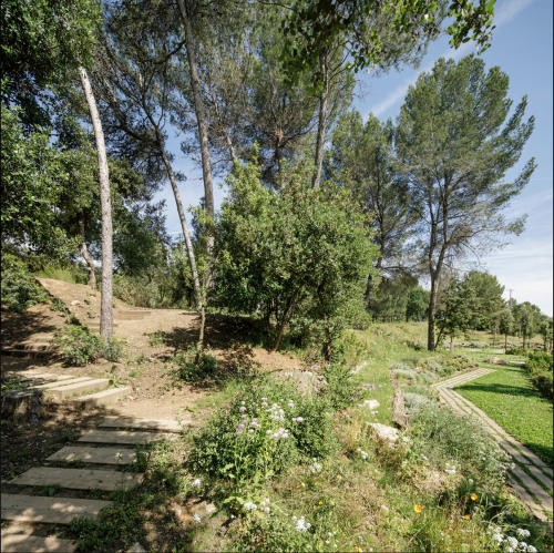 PATH OF THE FOREST Roques Blanques, el papiol, BarcelonaBy BatlleiroigPhotos by Jordi Surroca“