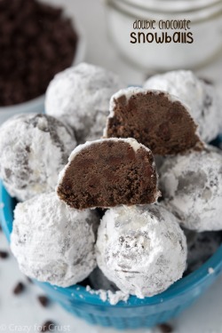 guardians-of-the-food:  Double Chocolate Snowball Cookies  I&rsquo;m down