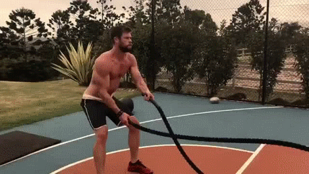 x-fits-y:  That man manages to put him on a harness and made him walk like a dog…