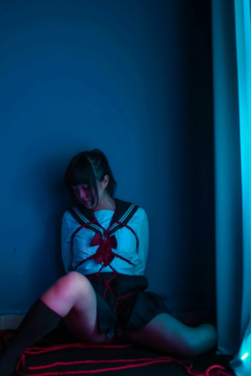jlowerr:管教