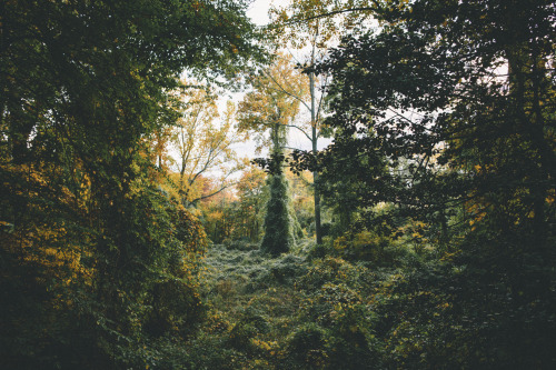 wanderingredleaves:Hunter Reilly