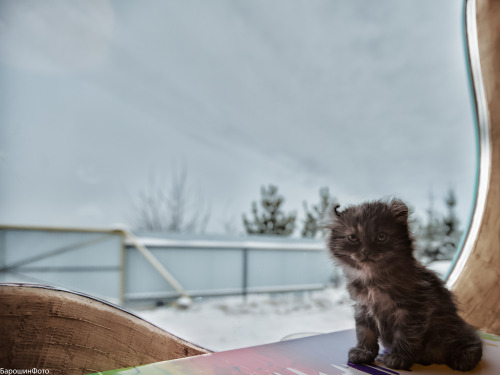 (via zxz1919)