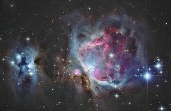 spinningblueball:  Orion’s Nebula Stardust