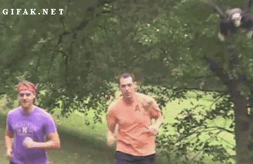 needmoregif:  Need more GIF