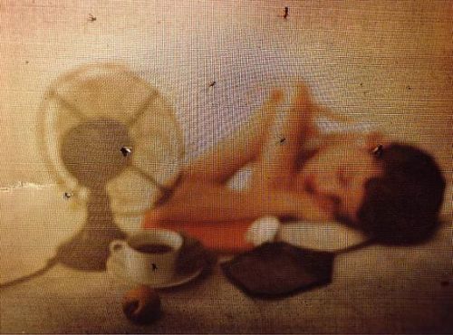 quickienewyork: artaslanguage: summer sleep, new york [1949] ////irving P E N N   This hot weather always reminds me of sleeping as a kid with the window open and a fan blowing on me. The smell of summer was as strong as the heat, and all I could do