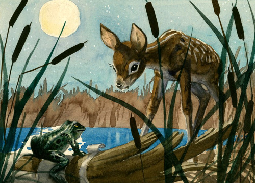 scurviesdisneyblog - Visual development for Bambi