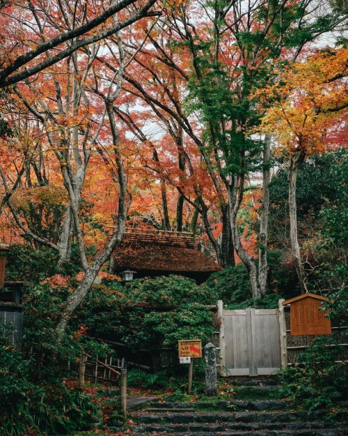 Moist and Colorful Fallen Leaves 雨のまにまに訪れた祇王寺。 降り積もった落ち葉もしっとり色鮮やかに。 雨の景色も風情があっていいもんです。 #京都 #嵯峨野 #祇王寺