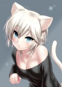 Sexy catgirls and stuff