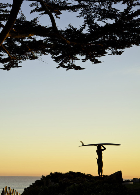 vibefreedom:  ☼ 