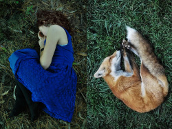 mellmeowmell:  I noticed the photo I took of my sister looks like the sleeping fox 