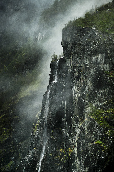spiritofthewoodlands:Peril by jonpacker