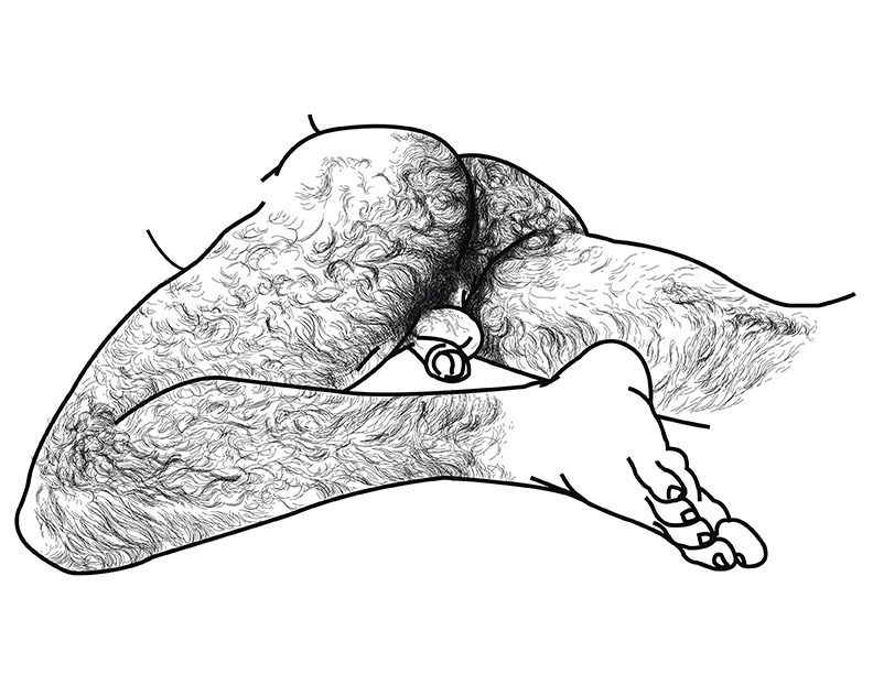 vectorxx:  http://erevank.bigcartel.com/ 