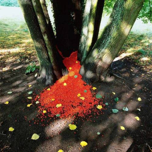 01030104: culturenlifestyle: Land Art Installations Aesthetically Disrupt The Natural Scene German p