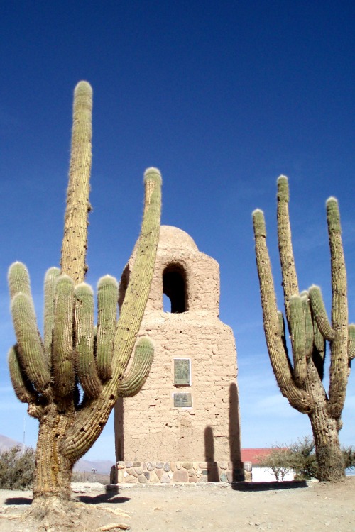 Monument y Cardones, Humahuaca, Argentina,2007.