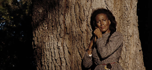 angelabassetts: Daughters of the Dust (1991) 1/5 Cinematography  At the dawn of the 20th centur