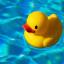 abnormality-duckie