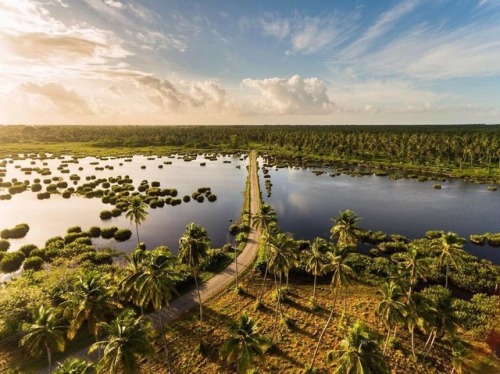 trinbagoculture: Icacos. Trinidad and Tobago.