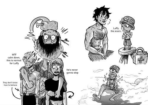 19 Year Old Luffy Meets His Crew Before The Time Skip