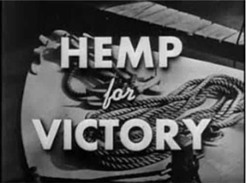 heavensentoil:By 1800 most of the newly formed United States were cultivating industrial hemp on lar