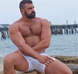 hairyhotman:  http://hairyhotman.tumblr.com/