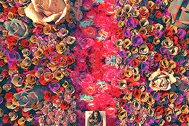 gg-net:  sunmi // gashina 