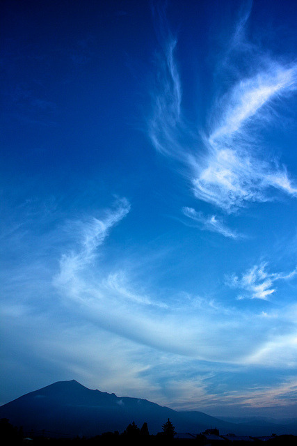 d-vn:  Last Wisps of Summer by jasohill on Flickr.