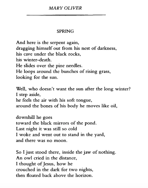 owls by mary oliver