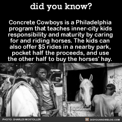 did-you-kno:  Concrete Cowboys is a Philadelphia  program that teaches inner-city kids  responsibility and maturity by caring  for and riding horses. “Being around horses takes the trouble off my shoulders. Like, when I’m having trouble at the house,