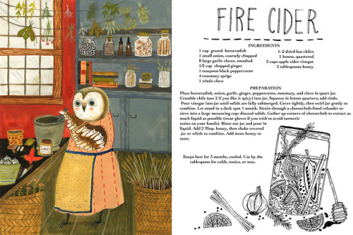 madisonsaferillustration:I made a little book spread from a lovely fire cider recipe I found. Fire c