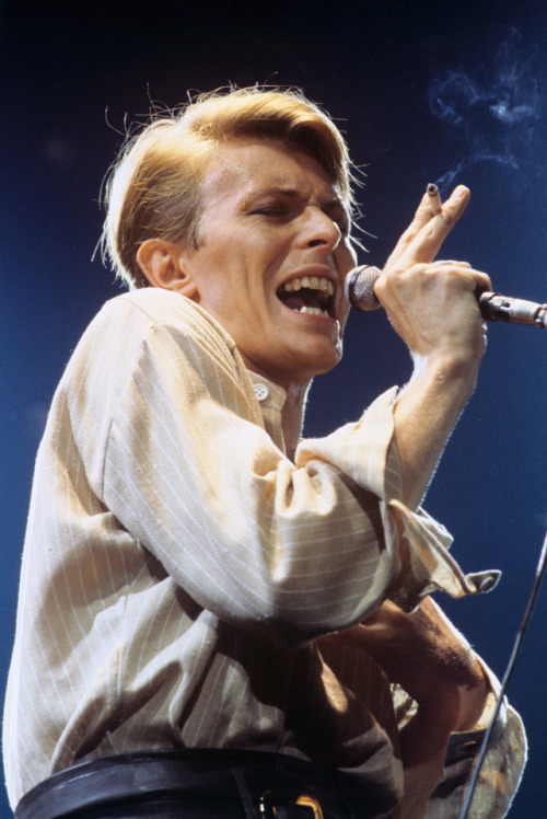 dustonmars:  David Bowie. Isolar ll Tour. 14 May, 1978. Frankfurt, Germany.HQ