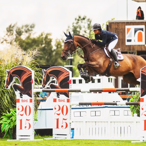 horsoholic: thunderbird show park, langley, bc