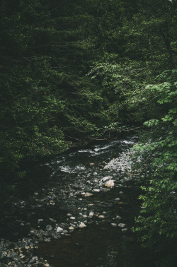 deeplovephotography:  instagram | flickr | facebook