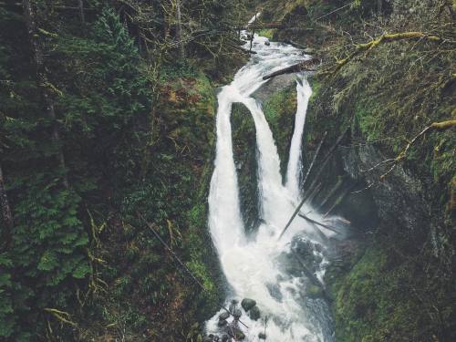 justapplyyourself: Triple Falls. Corbett, OR.